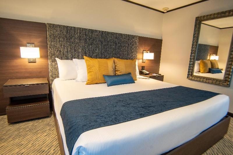 Superior Queen Room Two Queen Beds,1273639810:JPEG